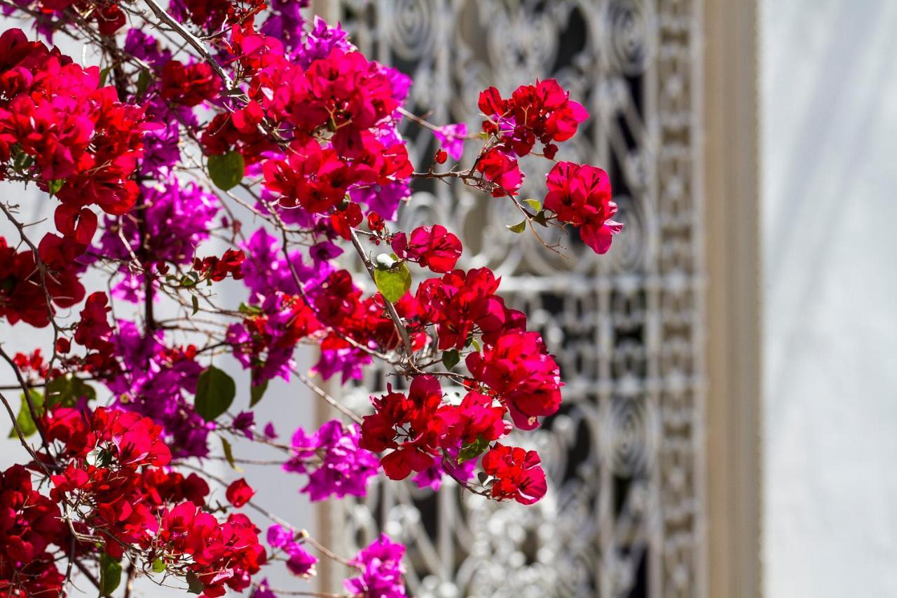 Отель Riad Clementine Марракеш Экстерьер фото